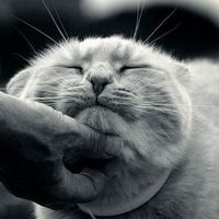 Denis Koleda's Photo