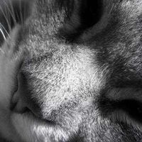 Lisa Prigmore's Photo