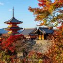 Road trip from Nagoya to Kyoto的照片