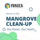 MANGROVE CLEANUP 2023's picture