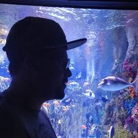 Photos de Chinmay Lad