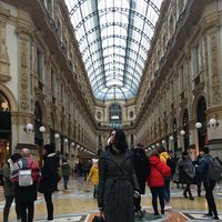 Fotos de Julia Koshevaya