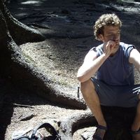 Le foto di Yoni Roter