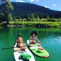 Zaaven Forest的照片