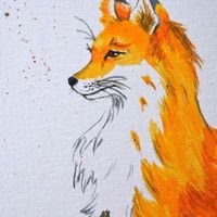 Fotos de Christoffer Bayern