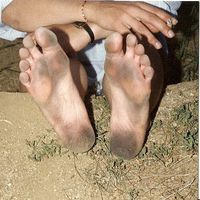 Laurence Bourgeois的照片