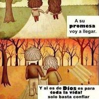 Reflexiones Vasquez的照片