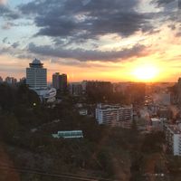 Fotos de Amelia Chow