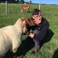 Dries Bonte的照片