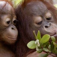 Photos de Nadia Lemay