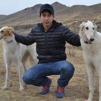 Mendjargal Khishigdorj's Photo