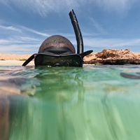 Paul Cupido's Photo
