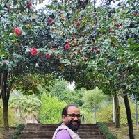 Mostafa Emam's Photo