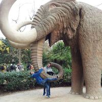 Marc Lopez Vidal's Photo