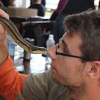 Renato Katić的照片