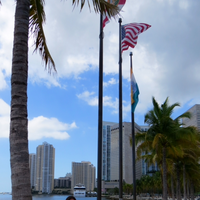 Anggela Michelle Flores的照片