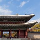 Free Tour Changdeokgung {창덕궁} 2of2's picture