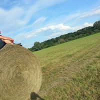 Alexander Oster's Photo