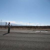 Tseela Meitzad的照片