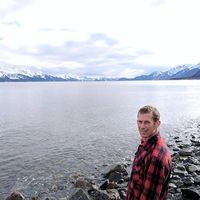 Andrew Jarvis的照片