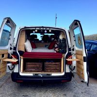 Jane Ludwig的照片