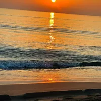 Hania Hadj Mabrouk的照片