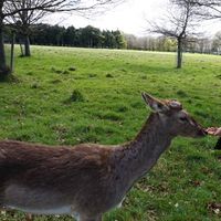 Gyung yoon Baek's Photo