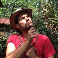 Fotos de Julio José Rodríguez