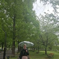 Photos de Hanum nimnum