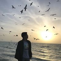 matin darabi's Photo