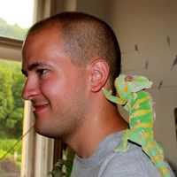 Pablo Odorico's Photo