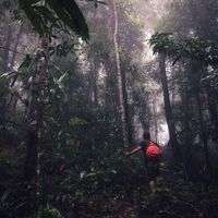 Shahadat Soikot的照片