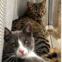 Jimmy Saavedra's Photo