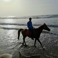 Ayoub Elmrani的照片