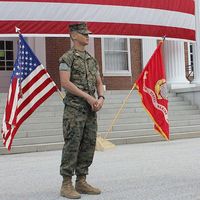 Roger Cowgill的照片