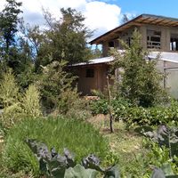 clara gasparini's Photo