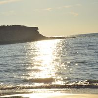 Armin Bagheri's Photo