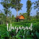 Wayanad Road Trip From Blr's picture