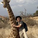 Tour around Dresden/X'mas Markets's picture