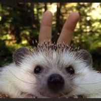 Dominika Pastuszka's Photo