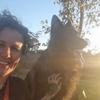 Amanda Catspell的照片