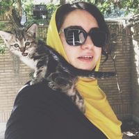 Saghar Ansarirad的照片