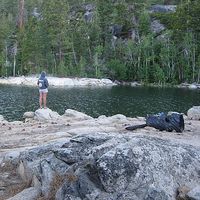 Daloma Phillips's Photo