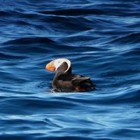 Dafne Romero's Photo