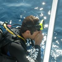 Fotos de Bobby Modzel