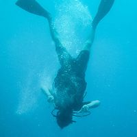 sebastien gallonnier's Photo