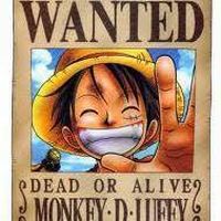 Lolo Bourricot的照片