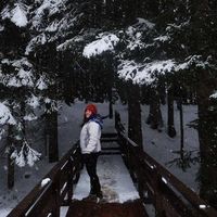 Marion Cassu的照片