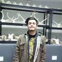 Fotos von Issac Camargo