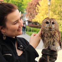 Morgana Mansfeld's Photo